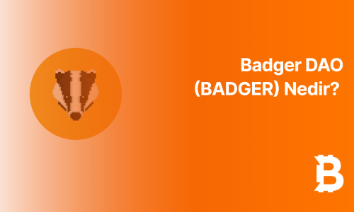 Badger DAO (BADGER) Nedir?