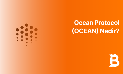 Ocean Protocol (OCEAN) Nedir?